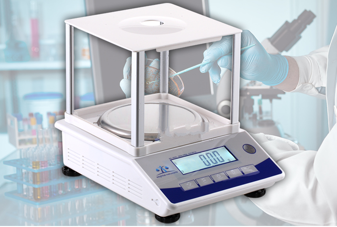 Weightlab WL-3002L Hassas Terazi Elektronik